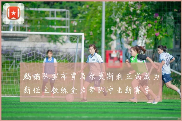 鹈鹕队宣布贾马尔莫斯利正式成为新任主教练全力带队冲击新赛季