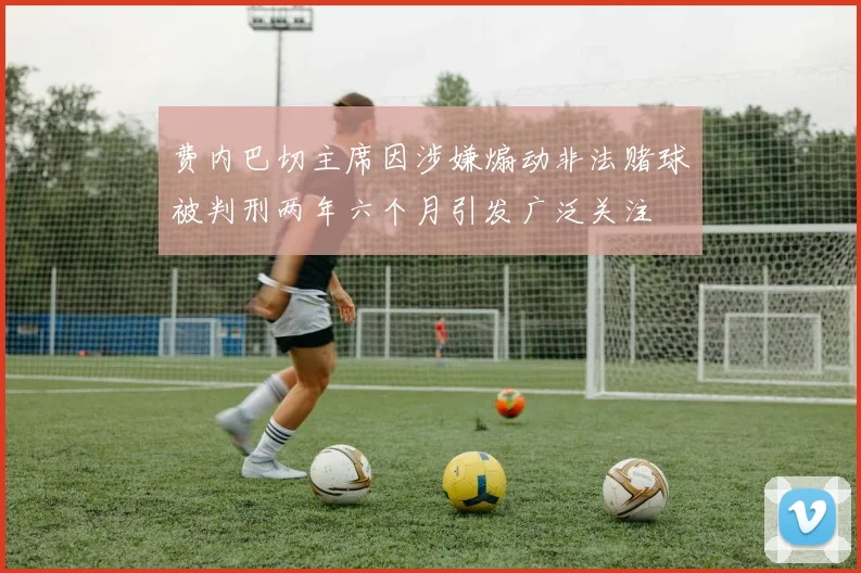 费内巴切主席因涉嫌煽动非法赌球被判刑两年六个月引发广泛关注