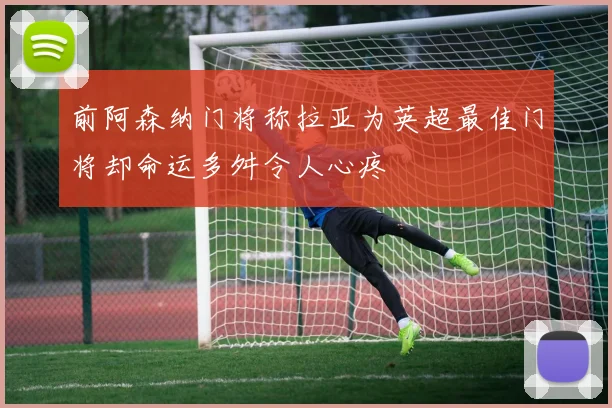 前阿森纳门将称拉亚为英超最佳门将却命运多舛令人心疼
