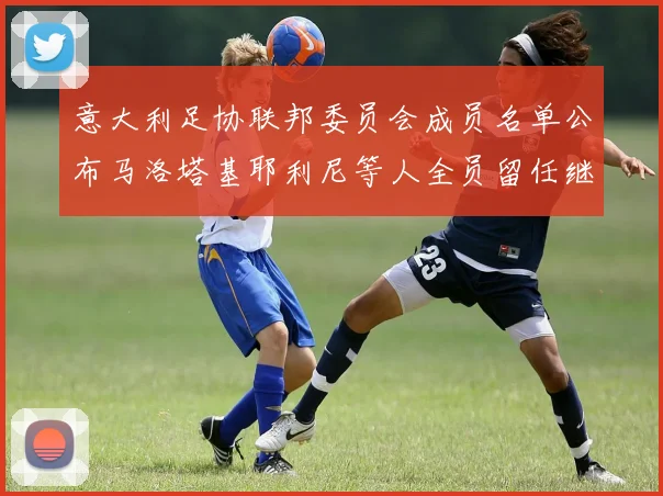 意大利足协联邦委员会成员名单公布马洛塔基耶利尼等人全员留任继续服务